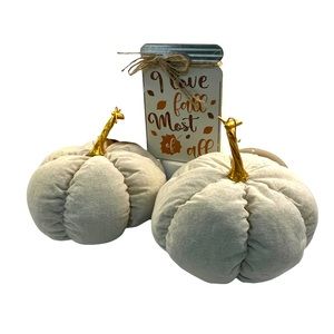 Beige fabric stuffed pumpkin set of 2 with fall glitter & tin mason jar plaque